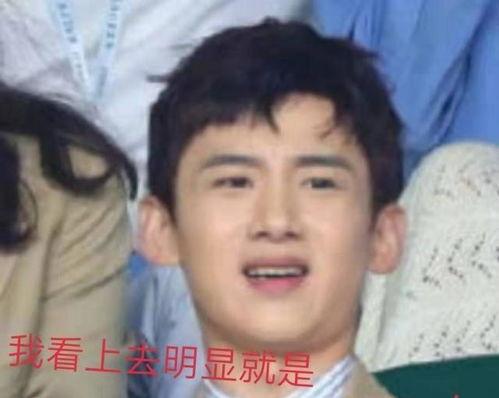 娱乐吃瓜酱白敬亭,娱乐吃瓜界的“瓜王”